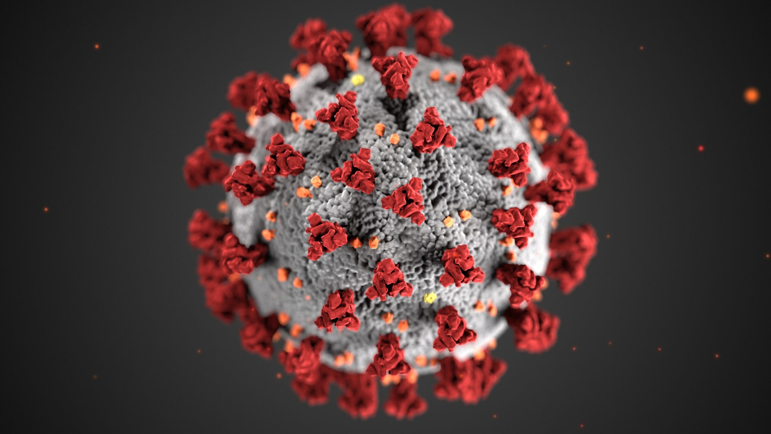 Coronavirus Response Relief Grant Scheme